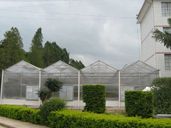 日照陽光板溫室大棚