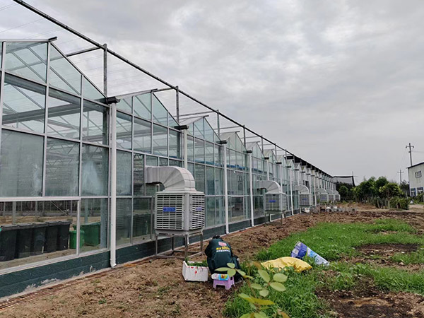 拉薩現(xiàn)代農(nóng)業(yè)智能玻璃大棚