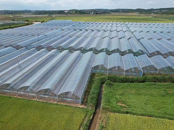 山東薄膜種植大棚