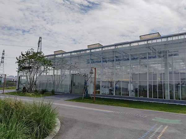 安徽玻璃溫室大棚建設(shè)