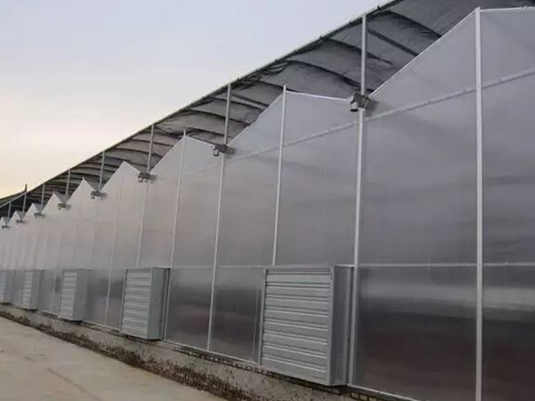 河北連棟陽光板大棚