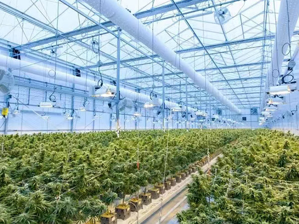 安徽連棟智能溫室