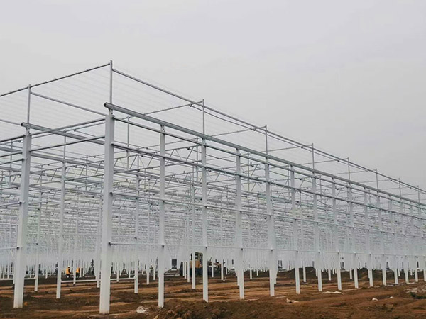 銅川溫室大棚骨架
