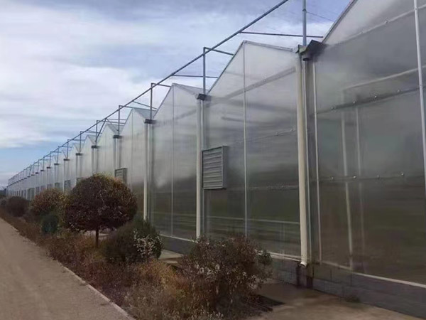 河北陽光板大棚造價