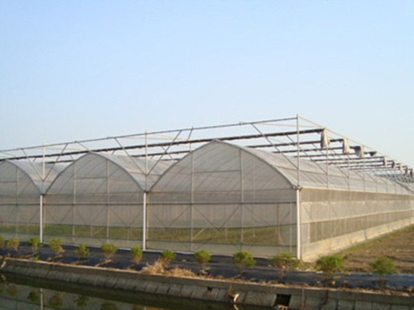 日照連棟薄膜大棚