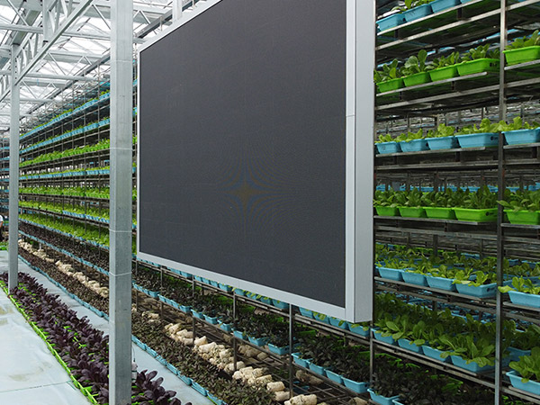 泰安物聯(lián)網(wǎng)控制系統(tǒng)